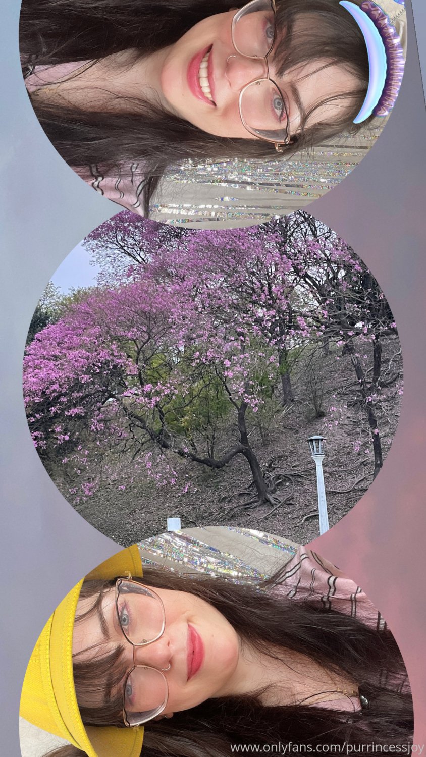 argentina Paidjoy (Johanna)3 #2ikffMNQ